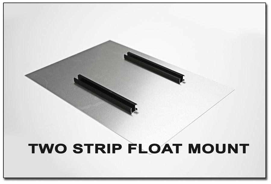 Metal Print with 2-Strip Float Mount Frame