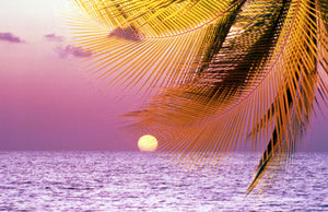 Stylized tropical scene with violet sea, pink sky, setting sun and palm fronds
