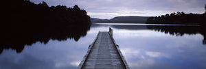 Pier in a lake, Lake Mapourika, South Island, New Zealand