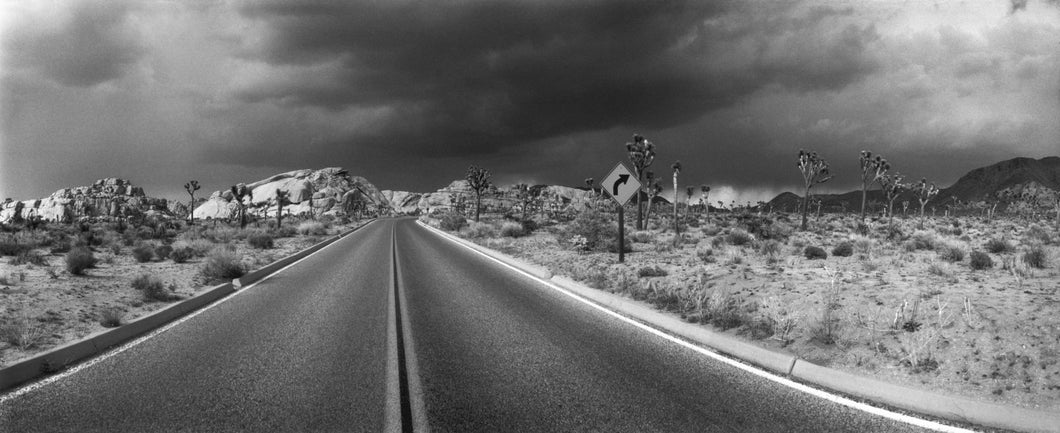Empty road passing through Joshua Tree National Park, San Bernardino County, California, USA