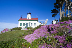 Lighthouse on a hill, Battery Point Lighthouse, Crescent City, California, USA