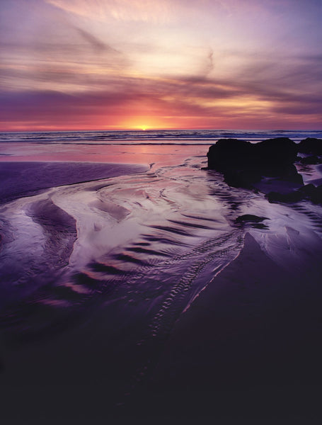 Scenic view of the beach at sunset, Searose Beach, Oregon Coast, Oregon, USA