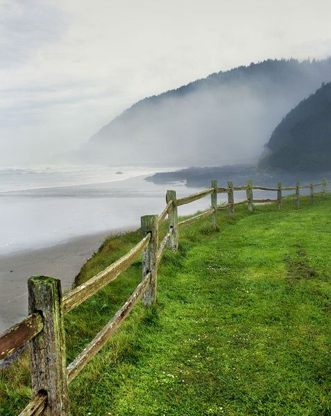 Fence at Captain Cook Point, Neptune State Scenic Viewpoint, Cape Perpetua, Lincoln County, Oregon, USA