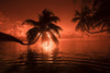 Palm trees at sunset, Moorea, Tahiti, French Polynesia