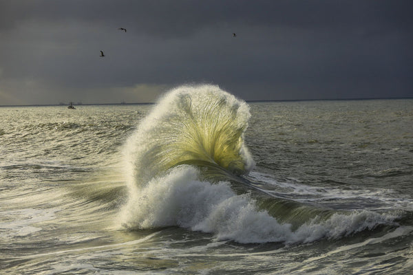 Waves in the Pacific Ocean, San Pedro, Los Angeles, California, USA