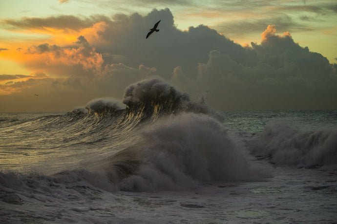 Waves in the Pacific Ocean at dusk, San Pedro, Los Angeles, California, USA