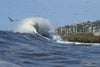 Waves in the Pacific Ocean, Sandspit, Santa Barbara, Santa Barbara County, California, USA
