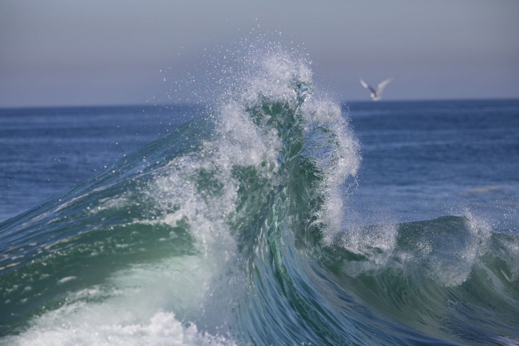 Waves in the Pacific Ocean, Newport Beach, Orange County, California, USA