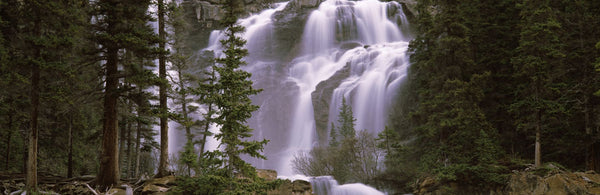 Waterfall in a forest, Banff, Alberta, Canada