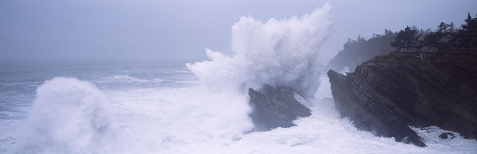 Waves breaking on the coast, Shore Acres State Park, Oregon, USA