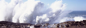 Waves breaking on the coast, Shore Acres State Park, Oregon, USA