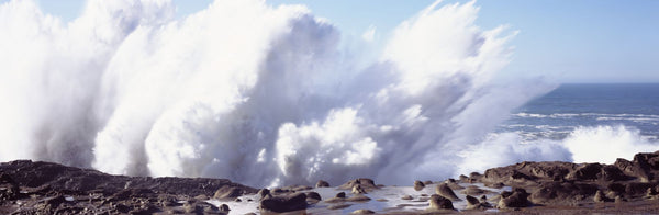 Waves breaking on the coast, Shore Acres State Park, Oregon, USA