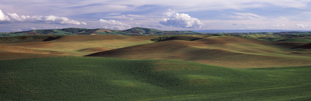 Clouds over a rolling landscape, Palouse, Whitman County, Washington State, USA