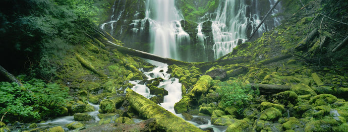 Waterfall in a forest, Proxy Falls, Three Sisters Wilderness Area, Willamette National Forest, Lane County, Oregon, USA