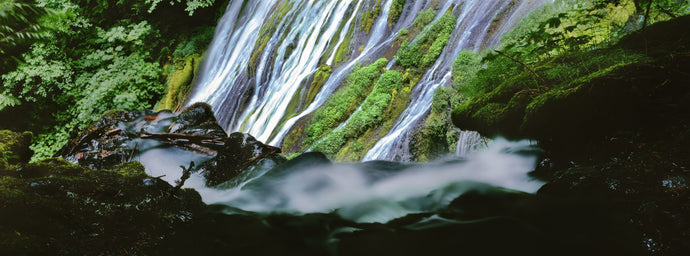 Waterfall in a forest, Proxy Falls, Three Sisters Wilderness Area, Willamette National Forest, Lane County, Oregon, USA