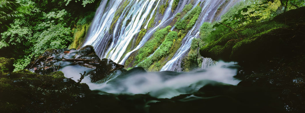 Waterfall in a forest, Proxy Falls, Three Sisters Wilderness Area, Willamette National Forest, Lane County, Oregon, USA