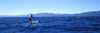Tourists paddle boarding in a lake, Lake Tahoe, California, USA