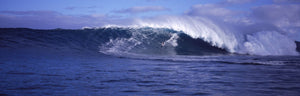 Surfer in the ocean, Maui, Hawaii, USA