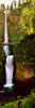 Footbridge in front of a waterfall, Multnomah Falls, Columbia River Gorge, Multnomah County, Oregon, USA