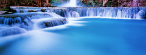 Waterfall in a forest, Mooney Falls, Havasu Canyon, Havasupai Indian Reservation, Grand Canyon National Park, Arizona, USA