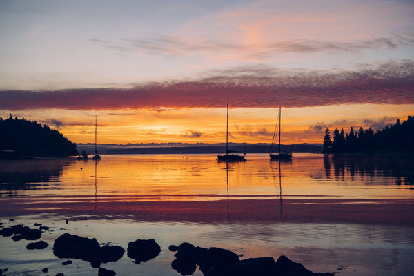 Boats in a lake at sunset, Bainbridge Island, Kitsap County, Washington State, USA