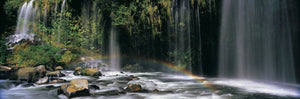 Rainbow formed in front of a waterfall in a forest, Dunsmuir, Siskiyou County, California, USA