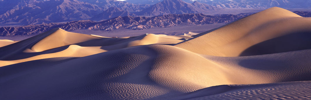 Sand dunes in a desert, Death Valley National Park, California, USA
