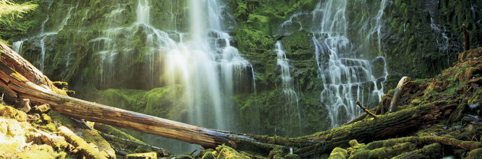 Waterfall in a forest, Proxy Falls, Three Sisters Wilderness Area, Willamette National Forest, Lane County, Oregon, USA