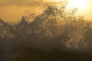 Waves braking on the coast, Coral Sea, Surfers Paradise, Queensland, Australia