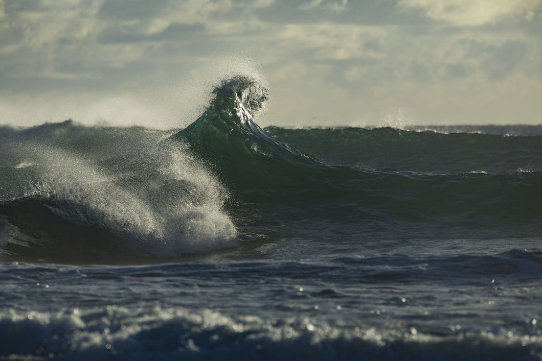 Waves in the ocean, Coral Sea, Surfers Paradise, Queensland, Australia