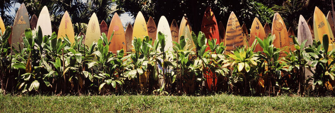 Surfboard fence in a garden, Maui, Hawaii, USA