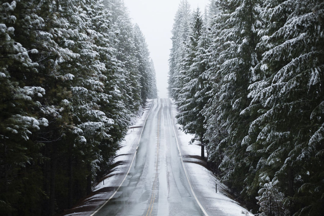 Snow covered trees both sides on a road, California, USA