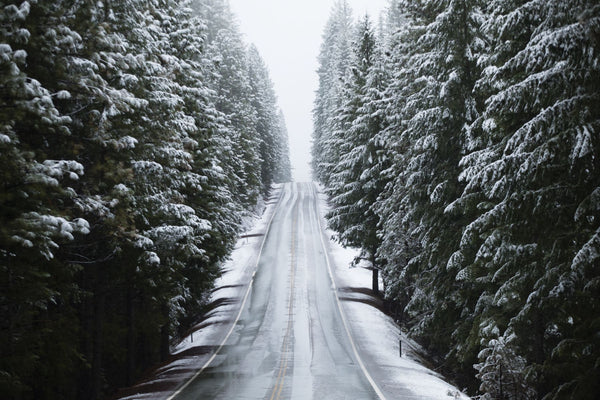 Snow covered trees both sides on a road, California, USA