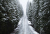 Snow covered trees both sides on a road, California, USA