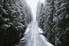 Snow covered trees both sides on a road, California, USA
