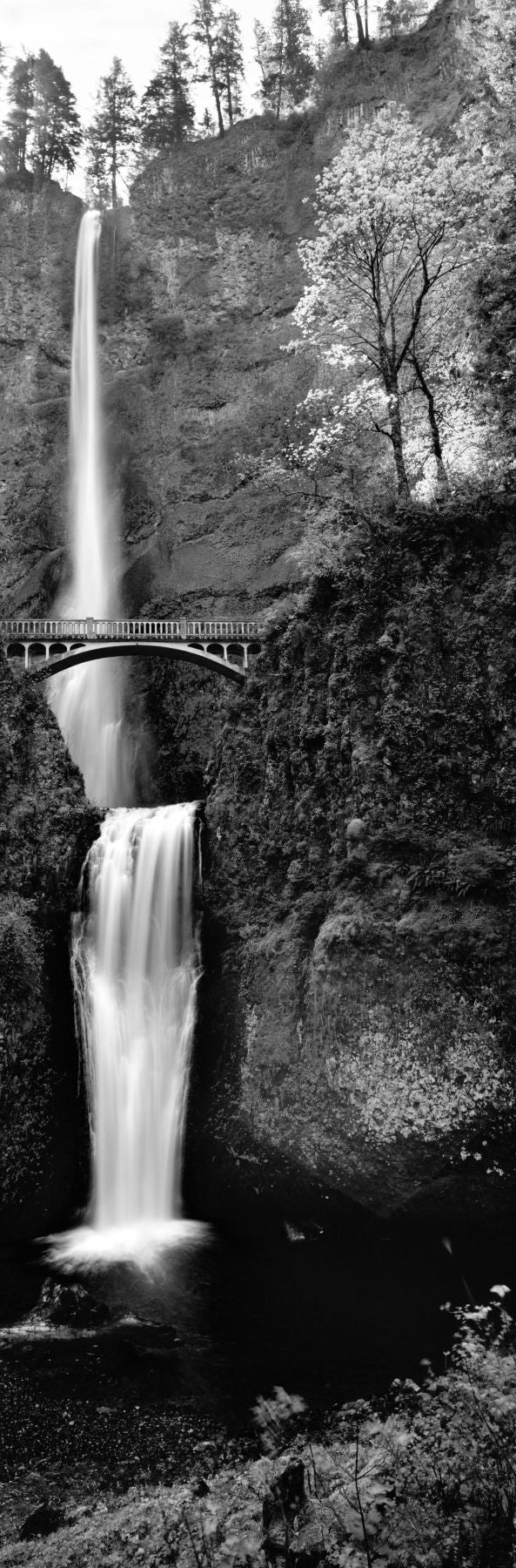 Footbridge in front of a waterfall, Multnomah Falls, Columbia River Gorge, Multnomah County, Oregon, USA