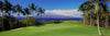 Palm trees in a golf course, Wailea Emerald Course, Maui, Hawaii, USA