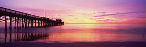 Silhouette of a pier at sunset, Newport Pier, Newport Beach, Balboa Peninsula, California, USA