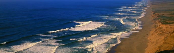 Point Reyes, California