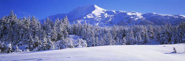 Mountains, Mountainview, Snow, Turnagain Pass, Chugach Mountains, Kenai Peninsula Alaska USA