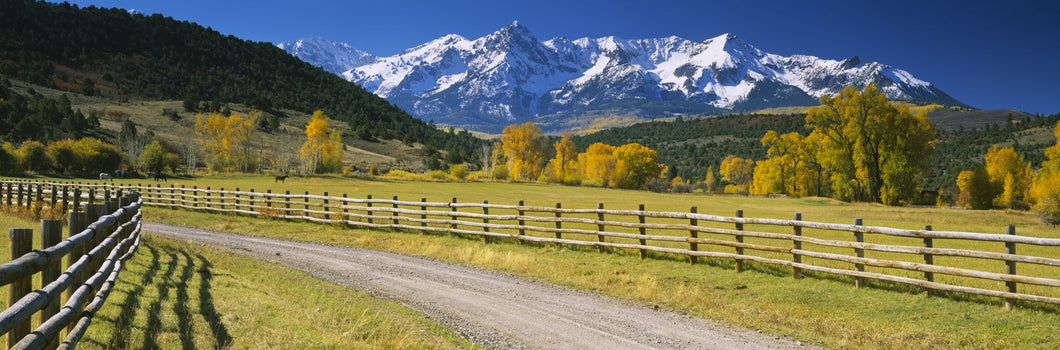 Fence along a road, Sneffels Range, Colorado, USA