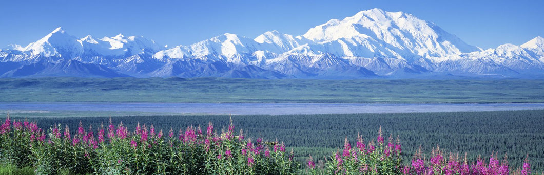 Mountains & Lake Denali National Park AK USA