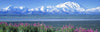 Mountains & Lake Denali National Park AK USA