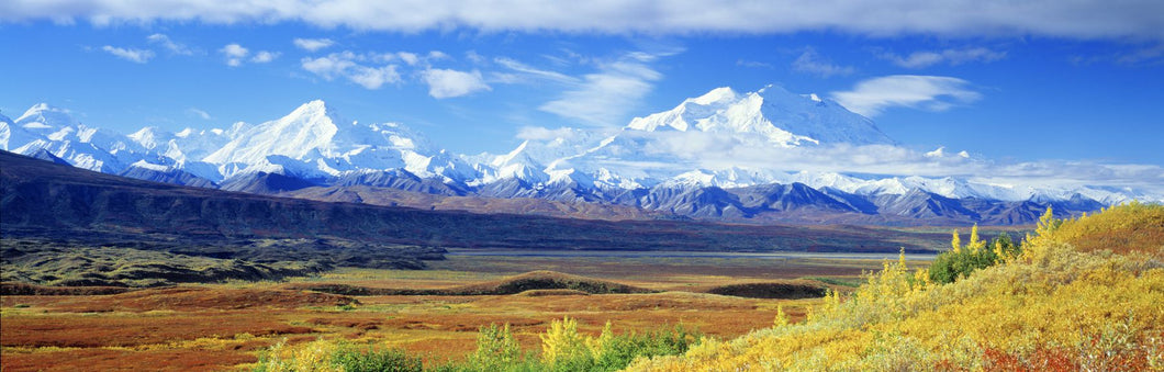 Tundra Alaska Range Mount McKinley Denali National Park AK
