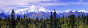 Alaska Range, Denali National Park, Alaska, USA