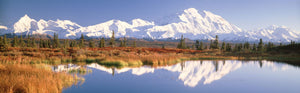 Pond, Alaska Range, Denali National Park, Alaska, USA