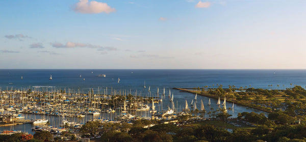 Elevated view of boats at a harbor, Honolulu, Oahu, Hawaii, USA