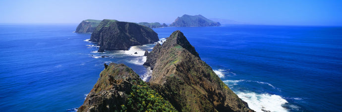 Spring at Anacapa Island, Channel Islands National Park, Ventura, California