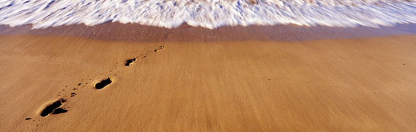 Footprints in sand on the beach, Hawaii, USA