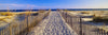 Pathway and sea oats on beach at Santa Rosa Island near Pensacola, Florida